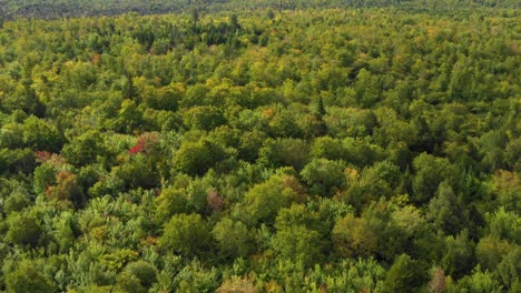 Frühherbst-Luftaufnahmen-Eines-Abgelegenen-Waldes-Im-Norden-Von-Maine,-Der-Sich-über-Einem-Bergrücken-Erhebt