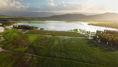 Drohne-Fliegt-über-überflutete-Landwirtschaftliche-Nutzpflanzen-Mit-Wassereinzugsgebiet,-Wunderschönen-Bergen-Und-Sonnenuntergang-Im-Hintergrund