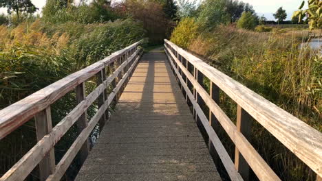 Holzbrücke-über-Den-See-Im-Schilf
