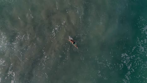 Aerial-cenital-shot-of-a-surfer-swimming-finding-the-perfect-wave-in-Zicatela-beach-Puerto-Escondido,-Oaxaca