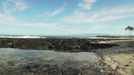 lava-encased-tide-pool-with-palm-trees-in-the-back-and-a-golden-sand-beach