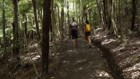 SLOWMO---Young-couple-from-behind-hiking-through-New-Zealand-forrest