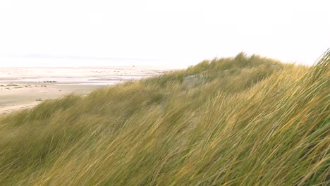 Serie-of-shots-windy-Winter-holliday-in-the-Netherlands-on-the-Dutch-Beach-Island-Terschelling