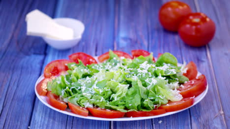 Veganer-Salat-Mit-Salat-Und-Tomaten