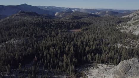 Toma-Aérea-De-Drones-Del-Bosque-En-El-Parque-Nacional-De-Yosemite