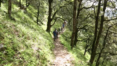 Los-Hermosos-Montañeros-Del-Himalaya-En-Su-Camino-Para-Llegar-A-Su-Destino-Con-Sus-Mochilas---Bienes-Esenciales---Pasando-Por-Las-Colinas-Del-Himalaya---Bosque-De-Sal,-Uttarakhand,-India