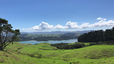 Scenic-view-of-the-Coromandel-peninsula-in-New-Zealand-with-a-giant-tree-in-the-foreground
