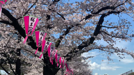 Menschen-Gehen-Und-Fahren-Fahrrad-Am-Ufer-Des-Sumida-Flusses