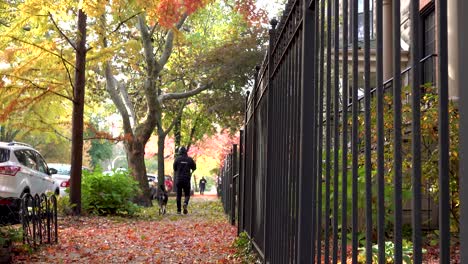 Eine-Frau-Joggt-Im-Herbst-Auf-Einer-Stadtstraße-4K