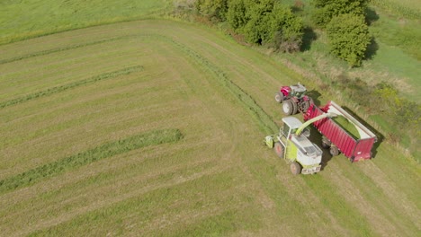 4K-aerial-view-following-from-behind-of-a-harvester-harvesting-hay-into-a-wagon