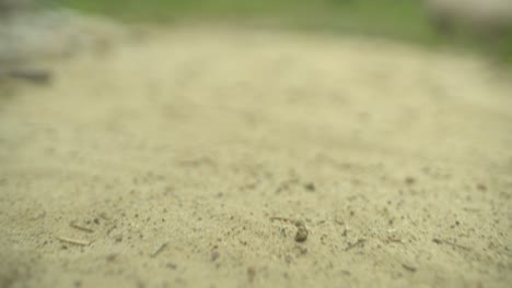 Sand-on-the-beach-close-up