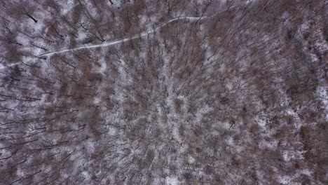 Aerial-footage-over-the-snowy-woods-in-winter