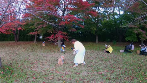 Japoneses-Teniendo-Una-Sesión-De-Fotos-Con-Sus-Perros-Bajo-Un-Arce-Rojo