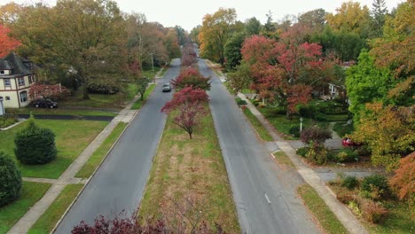 Vista-Aérea-De-Un-Callejón-Con-árboles-En-Otoño,-Casas-Familiares-Escondidas-Detrás-De-Los-árboles,-Zona-Suburbana-Tranquila