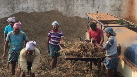 Landwirte-Arbeiten-In-Indien-Daran,-Trockenes-Gras-Einzusammeln-Und-In-Eine-Fördermaschine-Zu-Schieben-–-Totale