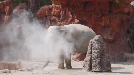 Der-Verspielte-Afrikanische-Elefant-Wirft-Sand-Auf-Sich
