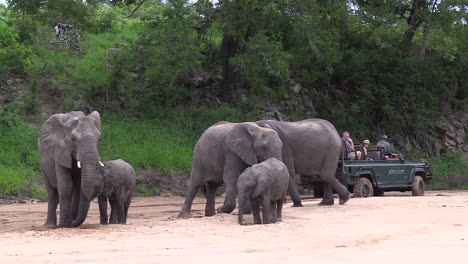Touristen-Auf-Einer-Afrikanischen-Safari-Beobachten-Eine-Elefantenherde-In-Einem-Flussbett-Aus-Der-Sicherheit-Des-Fahrzeugs-Im-Timbavati-Wildreservat,-Südafrika