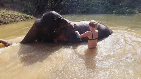 A-caucasian-female-tourist-bathing-an-enormous-elephant-by-a-mud-pool-while-playing-splashing-water-with-its-trunk---medium-shot