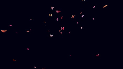 Bunte-Schmetterlinge,-Die-Zufällig-Auf-Schwarzem-Hintergrund-Herumfliegen,-Visuelle-Effekte,-3D-Animation