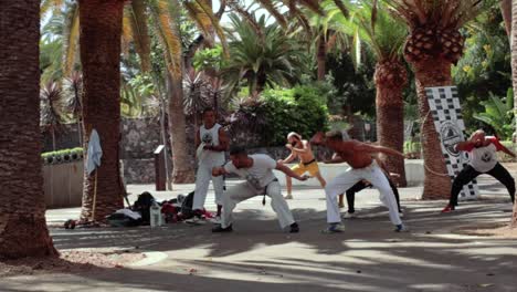 Menschen-Machen-Capoeira-Im-Park-In-Zeitlupe