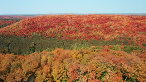 Aerial-tracking-shot-of-vast-wilderness-with-forested-fall-colors-and-rolling-hills-against-a-clear-blue-sky