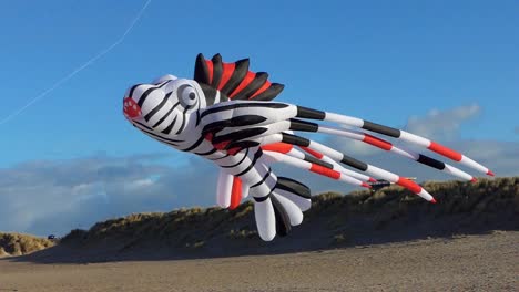 A-beautiful-large-kite-in-the-shape-of-an-ornamental-fish-on-the-beach-slow-motion-60-fps