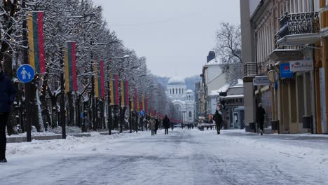 Gente-Caminando-En-La-Avenida-De-La-Libertad-En-Kaunas-Durante-La-Temporada-De-Invierno