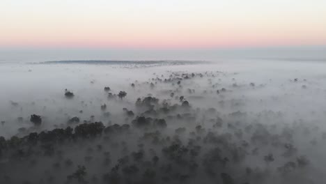 Aerial-view-of-foggy-morning-in-the-forests-of-Southeast-Asia