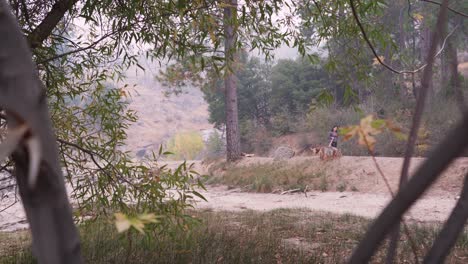 Push-Through-Branches-as-Brunette-Woman-Walks-Dog-on-Dirt-Road,-California