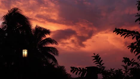 Der-Himmel-Ist-In-Farbe-Aufgebläht,-Wunderschöne-Wolken,-Sonnenuntergang,-Palmendreier
