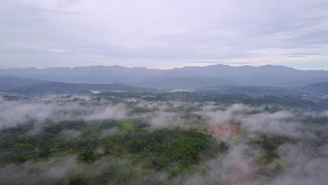 Aerial-view-of-the-road-cutting-through-the-jungle-covered-in-fog