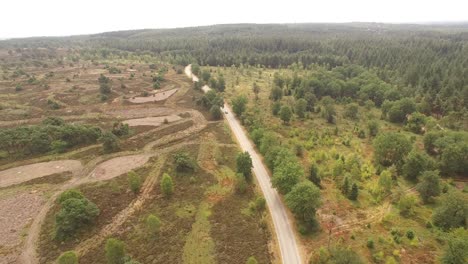 Coches-Circulando-Por-Un-Paisaje-Holandés-Abierto-Entre-Los-Bosques-A-Ambos-Lados-De-La-Carretera.