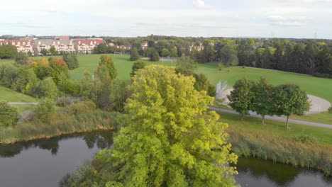 Luftaufnahmen,-Die-An-Einem-Warmen-Bewölkten-Sommertag-Einen-Baum-Auf-Einer-Insel-In-Einem-Von-Gebäuden-Umgebenen-Park-Umkreisen