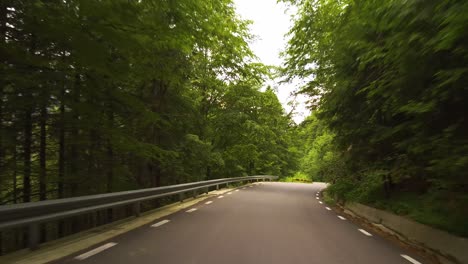 Driving-on-a-winding-road-through-a-forest-with-grafiti-on-the-wall-on-the-side,-Bucegi-Mountains,-Romania