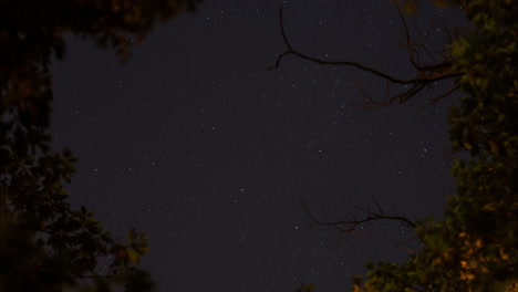 Lapso-De-Tiempo-De-Un-Hermoso-Cielo-Nocturno-Estrellado-Girando-En-El-Tiempo-Detrás-De-Las-Ramas-De-Los-árboles-Silueteados