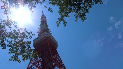 Timelapse,-Vista-De-La-Torre-De-Tokio-Desde-Abajo-Con-Sol-Brillante-Y-árbol