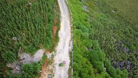 Vista-Aérea-De-Un-Dron-A-Vista-De-Pájaro-De-Un-Ciclista-Local-Vietnamita-A-Lo-Largo-De-Una-Carretera-Con-Arroz-Recién-Cortado-En-La-Parte-Trasera-De-Una-Bicicleta-De-Empuje