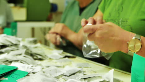 Close-up-of-hands-of-workers-package-tea-bags-at-a-tea-plantation-factory-on-the-Sao-Miguel-island-of-the-Portuguese-Azores