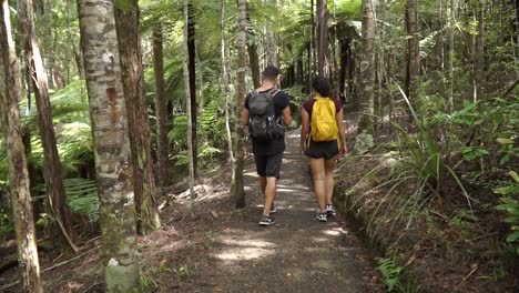 Cámara-Lenta---Mochileros-Jóvenes-Desde-Atrás-Caminando-A-Través-Del-Exuberante-Bosque-Tropical-Nativo-De-Nueva-Zelanda