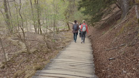 Las-Pasarelas-De-Madera-Artificiales-A-Través-De-Los-Bosques-Del-Parque-Nacional-De-Plitvice-En-Croacia