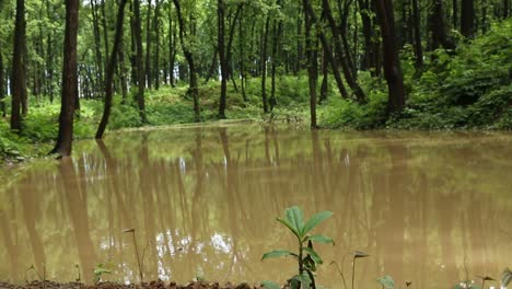 Regenwassernutzungstechnik-Diese-Technik-Wird-Angewendet,-Um-Wasser-Zu-Sparen,-Das-Durch-Hänge,-Flüsse-Und-Nalas-Verschwendet-Wird