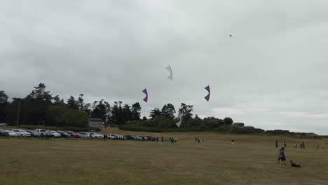 Cuatro-Personas-Volando-Cometas-Acrobáticas-Altamente-Maniobrables-En-Coordinación-En-Un-Día-Nublado-Y-Ventoso-En-Un-Campo-De-Hierba-En-Fort-Casey