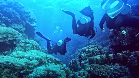 Taucher-Schwimmen-Auf-Dem-Meeresgrund,-Von-Hinten-Gesehen