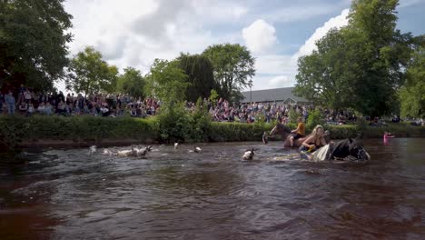 Miles-De-Personas-Disfrutando-Del-Espectaculo-De-Los-Gitanos-Y-Viajeros-En-La-Feria-Del-Caballo-Appleby-Cumbria-Lavando-Sus-Caballos-En-El-Rio-Eden