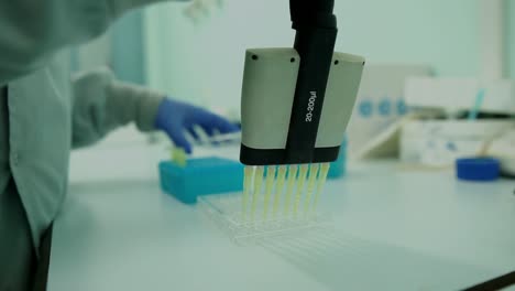 Wissenschaftlerin-Benutzt-Mehrkanalpipette,-Um-Multi-Well-Platten-Zu-Füllen