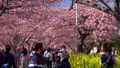 Menschen-Mit-Gesichtsmasken-Versammelten-Sich-An-Einem-Beliebten-Sehenswürdigkeitsort-In-Japan