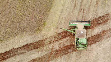 Landwirtschaftlicher-Traktor,-Der-Sojabohnen-Auf-Dem-Feld-Erntet