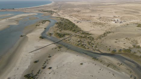 Dubai-Ahora-Tiene-Oficialmente-Un-Bosque-De-Manglares-En-El-Corazón-De-La-Ciudad,-El-Bosque-De-Manglares-Comprenderá-Arrecifes-De-Coral,-Manglares,-Lechos-De-Pastos-Marinos-Y-Una-Playa-Natural-En-Los-Emiratos