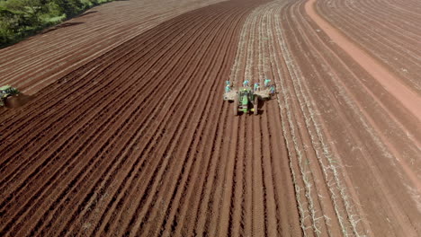 Hombres-Plantando-Caña-Manualmente-En-El-Campo