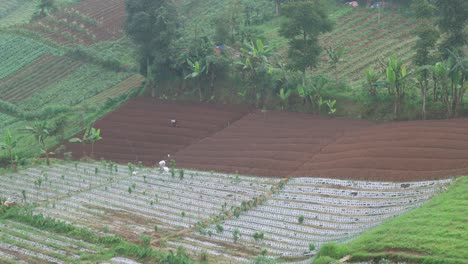 La-Gente-Está-Cultivando-En-El-Valle-De-La-Montaña